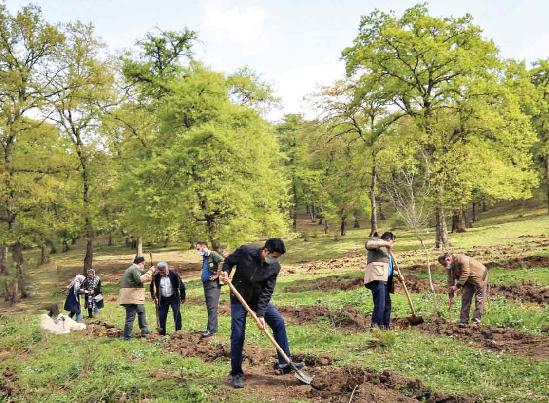 رشد ۱۵درصدی پوشش جنگلی ایران