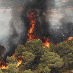 تلاش گسترده برای مهار آتش‌سوزی‌های جنگل الیت/ اعزام هواپیماهای ایلوشن و همکاری بین‌المللی