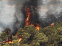  تلاش گسترده برای مهار آتش‌سوزی‌های جنگل الیت/ اعزام هواپیماهای ایلوشن و همکاری بین‌المللی